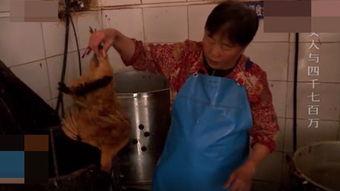 成人免费老太视频,揭秘背后真相与伦理争议